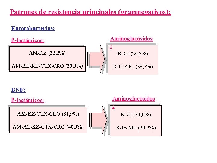 Patrones de resistencia principales (gramnegativos): Enterobacterias: ß-lactámicos: Aminoglucósidos : AM-AZ (32, 2%) K-G: (20,