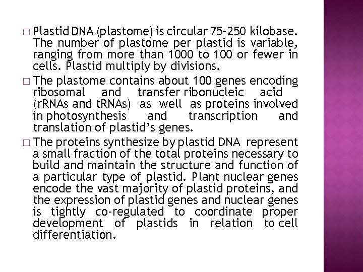 � Plastid DNA (plastome) is circular 75– 250 kilobase. The number of plastome per