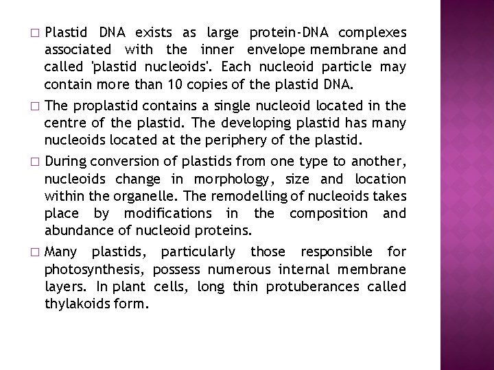 Plastid DNA exists as large protein-DNA complexes associated with the inner envelope membrane and