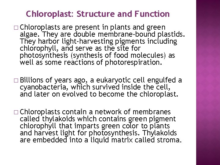 Chloroplast: Structure and Function � Chloroplasts are present in plants and green algae. They