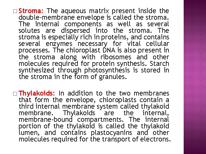 � Stroma: The aqueous matrix present inside the double-membrane envelope is called the stroma.