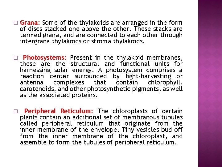 � Grana: Some of the thylakoids are arranged in the form of discs stacked