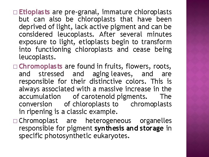 � Etioplasts are pre-granal, immature chloroplasts but can also be chloroplasts that have been