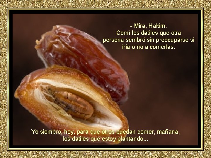 - Mira, Hakim. Comí los dátiles que otra persona sembró sin preocuparse si iría - Mira, Hakim. Comí los dátiles que otra persona sembró sin preocuparse si iría