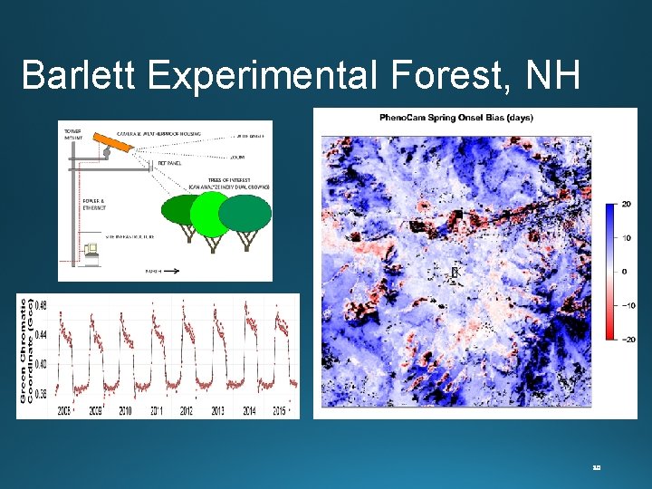 Barlett Experimental Forest, NH 