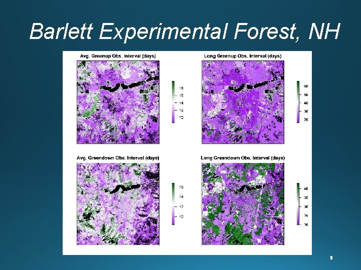 Barlett Experimental Forest, NH 