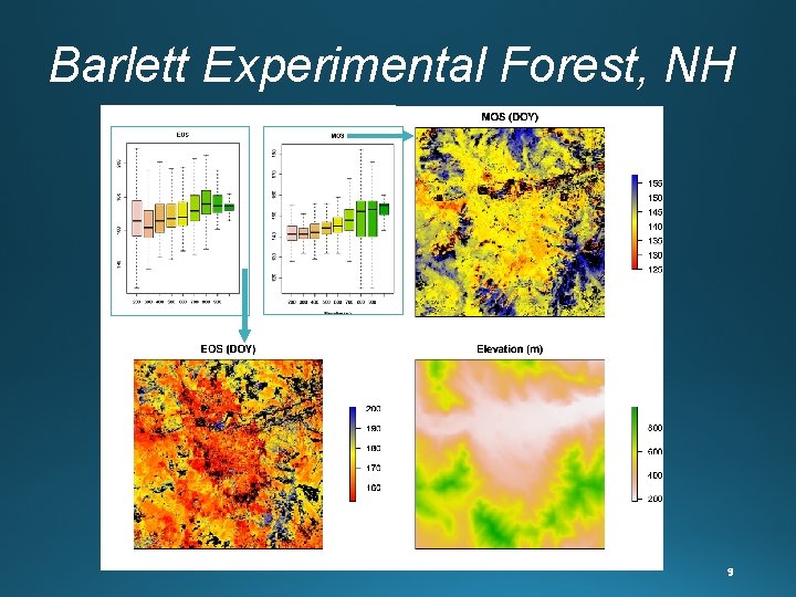 Barlett Experimental Forest, NH 