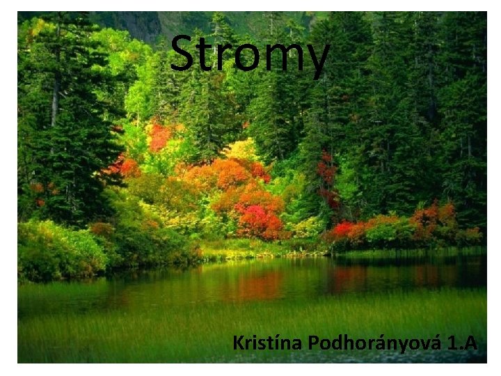 Stromy Kristína Podhorányová 1. A 