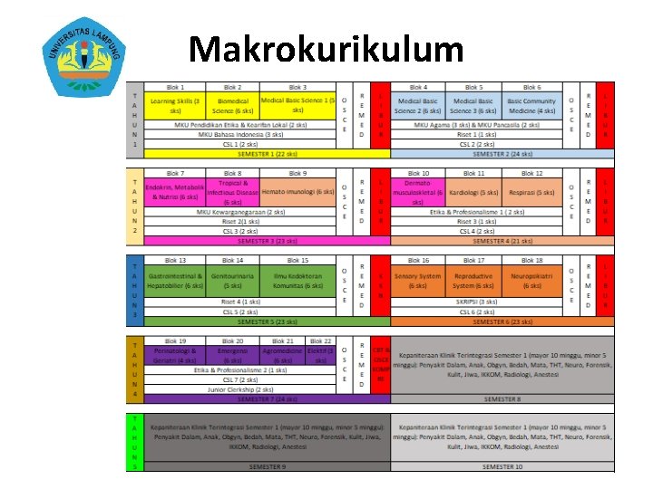 Makrokurikulum 