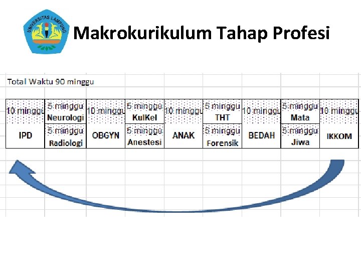 Makrokurikulum Tahap Profesi 