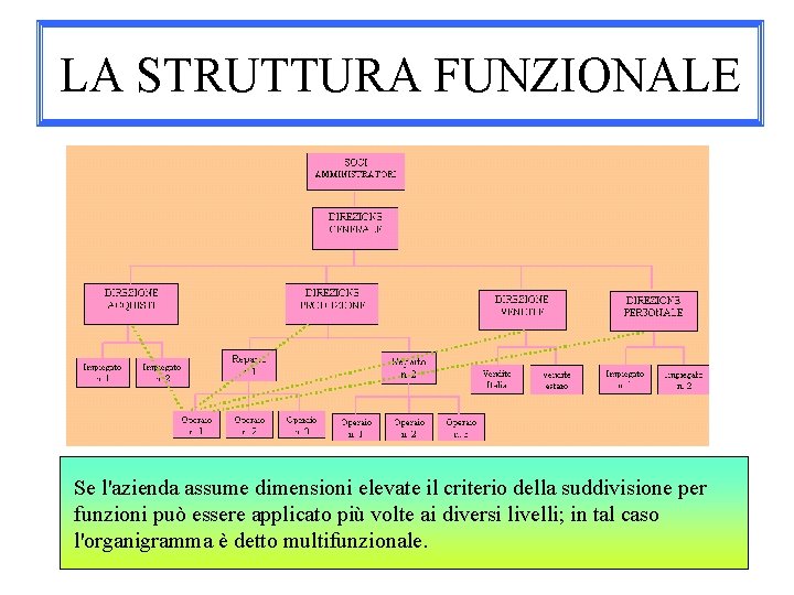 LA STRUTTURA FUNZIONALE Se l'azienda assume dimensioni elevate il criterio della suddivisione per funzioni