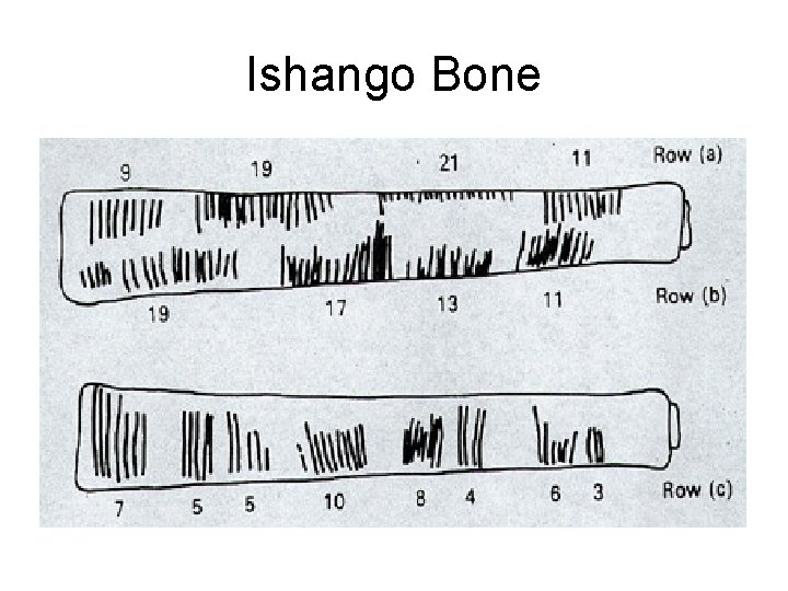 Ishango Bone Ishango Bone