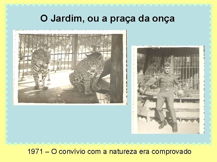 O Jardim, ou a praça da onça 1971 – O convívio com a natureza