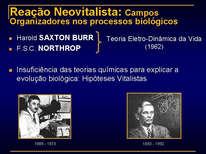 Reação Neovitalista: Campos Organizadores nos processos biológicos n Harold SAXTON BURR n F. S.