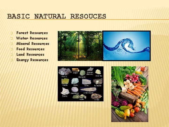 BASIC NATURAL RESOUCES � � � Forest Resources Water Resources Mineral Resources Food Resources