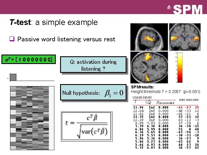 T-test: a simple example q Passive word listening versus rest c. T = [