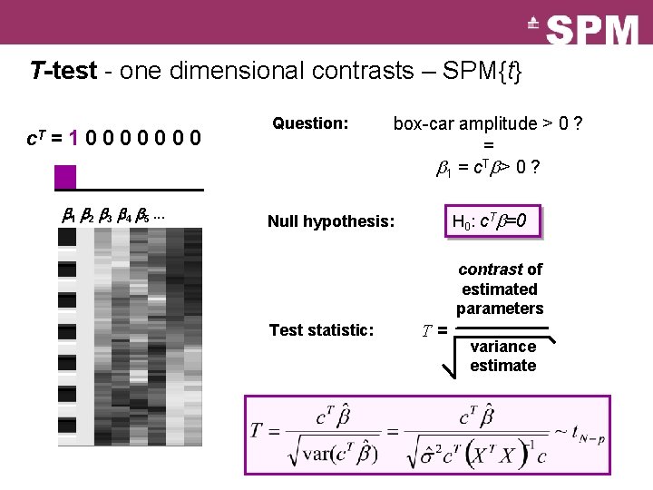T-test - one dimensional contrasts – SPM{t} c. T =10000000 b 1 b 2