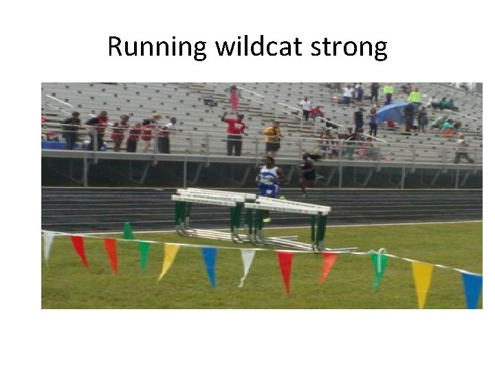 Running wildcat strong 