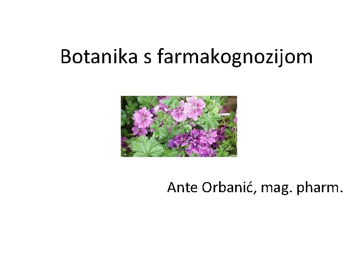 Botanika s farmakognozijom Ante Orbanić, mag. pharm. 