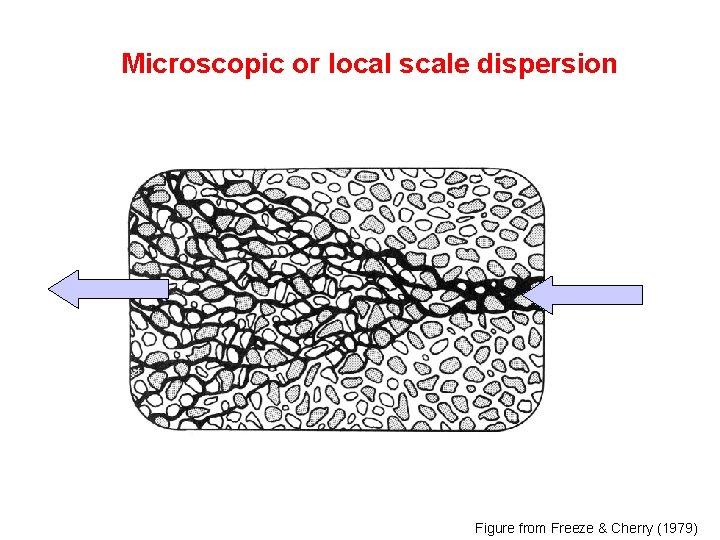 Microscopic or local scale dispersion Figure from Freeze & Cherry (1979) 
