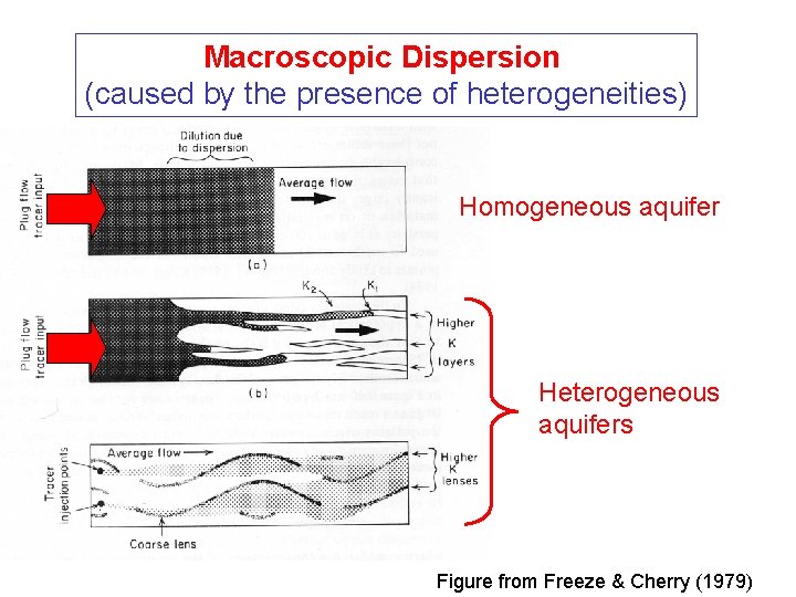 Macroscopic Dispersion (caused by the presence of heterogeneities) Homogeneous aquifer Heterogeneous aquifers Figure from