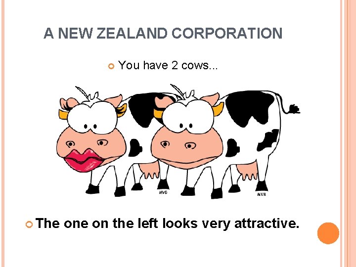 A NEW ZEALAND CORPORATION The You have 2 cows. . . one on the