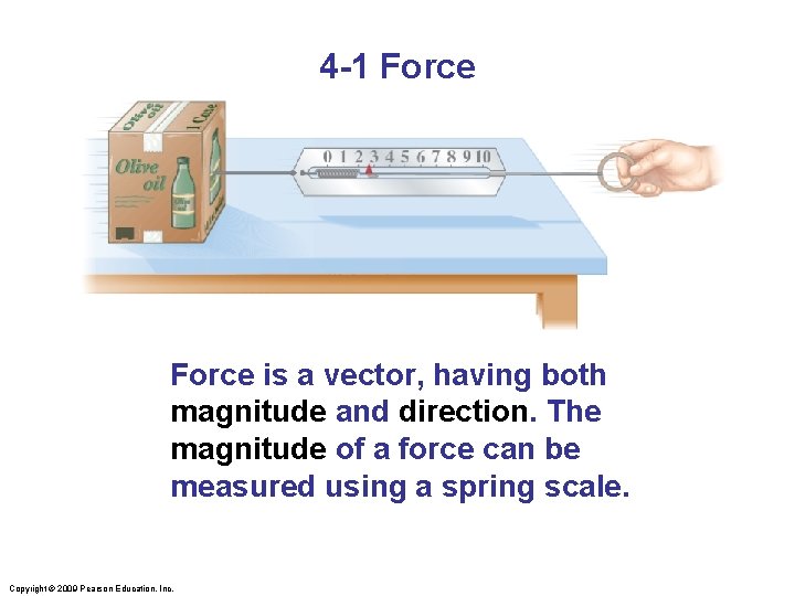 4 -1 Force is a vector, having both magnitude and direction. The magnitude of