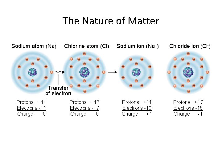 The Nature of Matter Sodium atom (Na) Chlorine atom (Cl) Sodium ion (Na+) Chloride