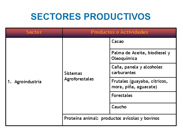 SECTORES PRODUCTIVOS Sector Productos o Actividades Cacao Palma de Aceite, biodiesel y Oleoquímica 1.