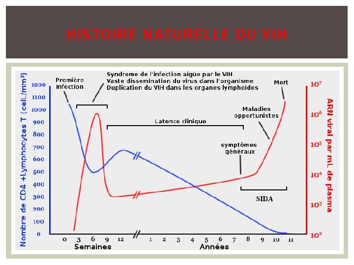 HISTOIRE NATURELLE DU VIH 