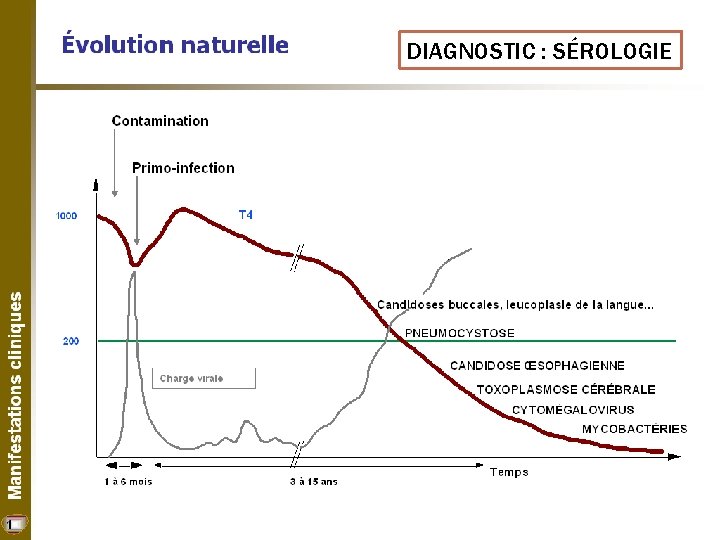 DIAGNOSTIC : SÉROLOGIE 