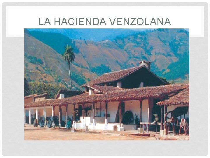 LA HACIENDA VENZOLANA 
