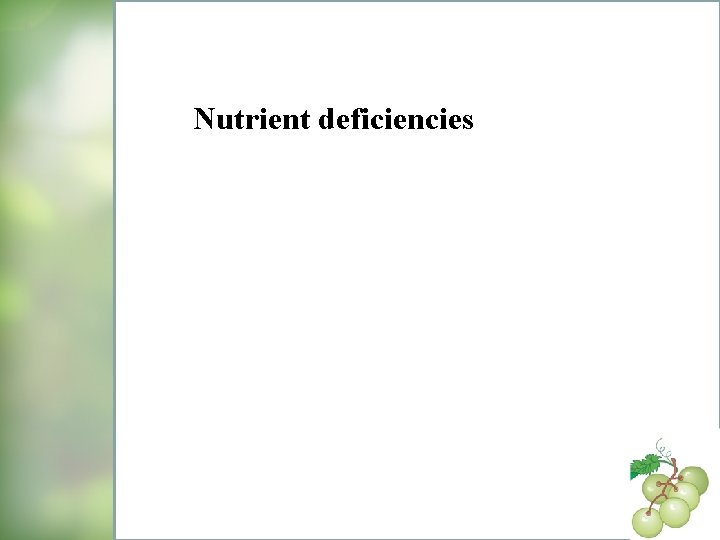 Nutrient deficiencies 