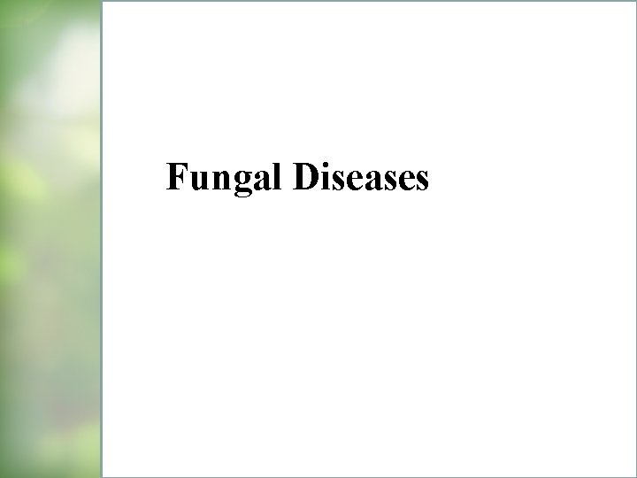 Fungal Diseases 