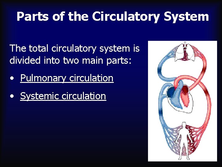 Parts of the Circulatory System The total circulatory system is divided into two main