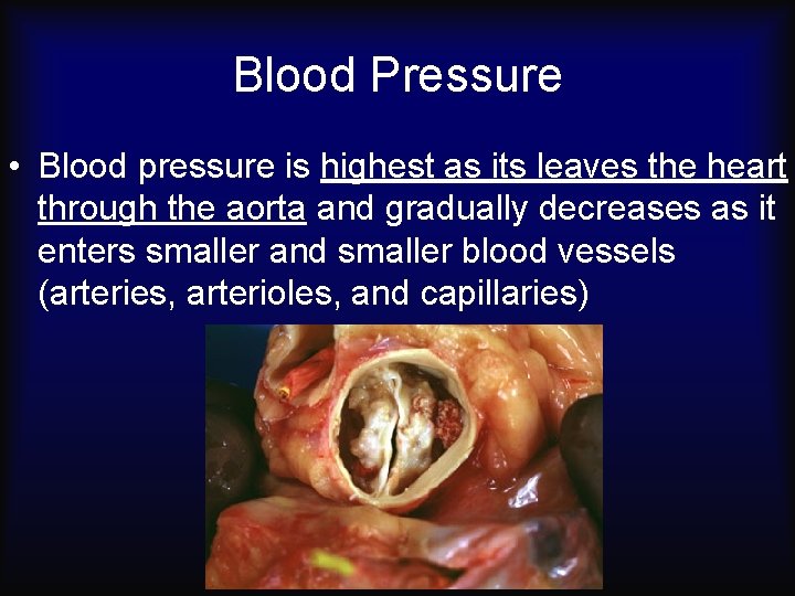 Blood Pressure • Blood pressure is highest as its leaves the heart through the