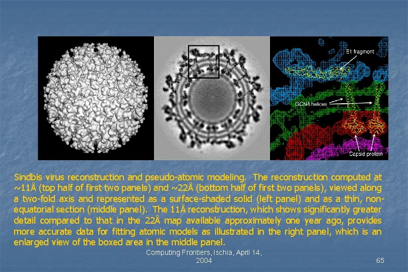 Sindbis virus reconstruction and pseudo-atomic modeling. The reconstruction computed at ~11Å (top half of Sindbis virus reconstruction and pseudo-atomic modeling. The reconstruction computed at ~11Å (top half of
