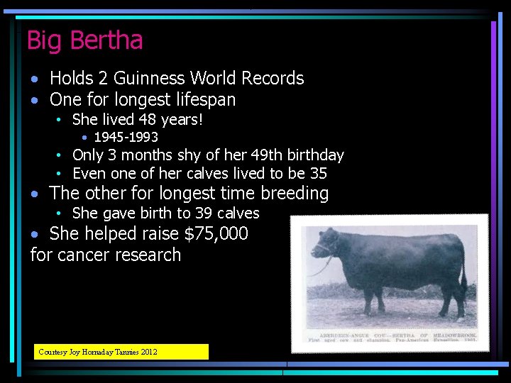 Big Bertha • Holds 2 Guinness World Records • One for longest lifespan •