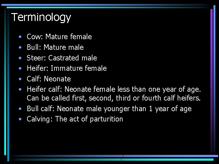 Terminology • • • Cow: Mature female Bull: Mature male Steer: Castrated male Heifer: