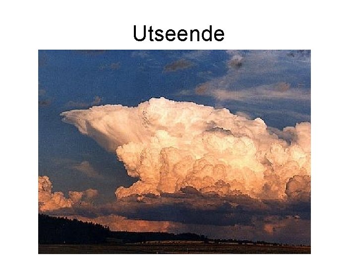 Utseende 