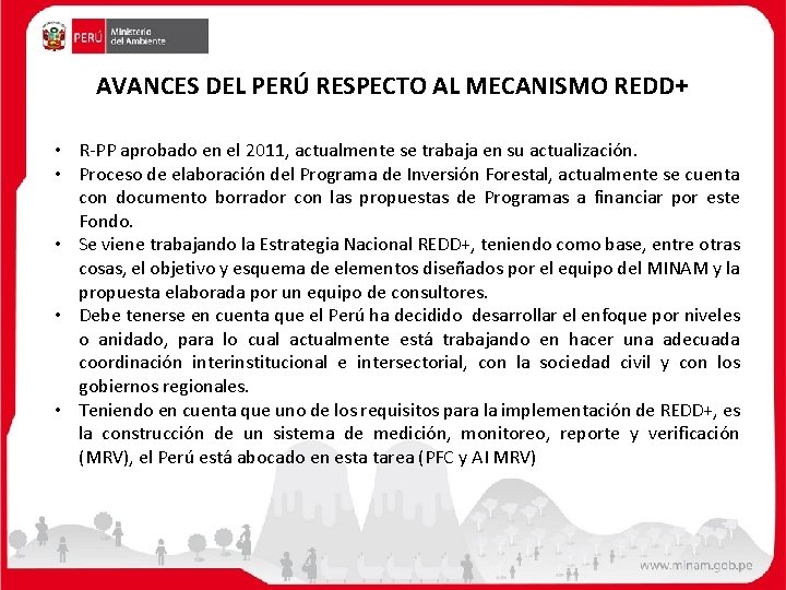 AVANCES DEL PERÚ RESPECTO AL MECANISMO REDD+ • R-PP aprobado en el 2011, actualmente