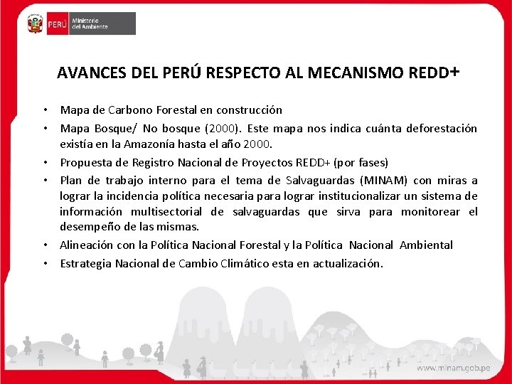 AVANCES DEL PERÚ RESPECTO AL MECANISMO REDD+ • Mapa de Carbono Forestal en construcción