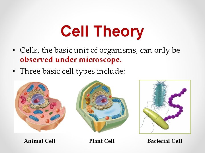 Cell Theory • Cells, the basic unit of organisms, can only be observed under