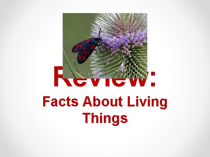 Review: Facts About Living Things 