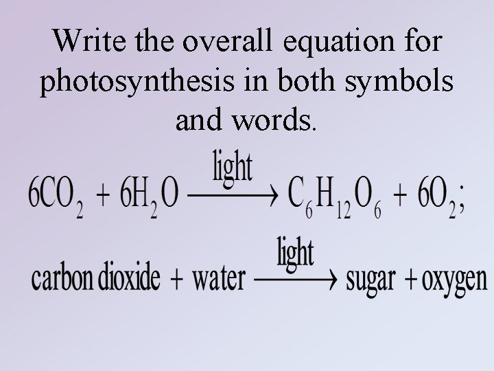 Write the overall equation for photosynthesis in both symbols and words. 