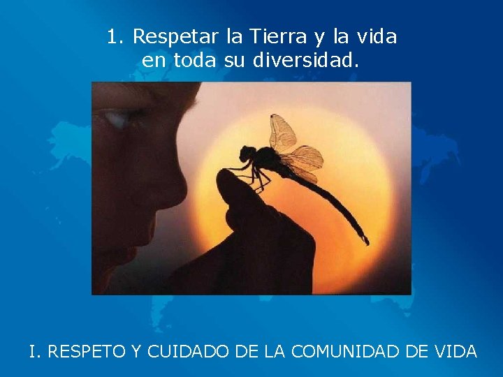 1. Respetar la Tierra y la vida en toda su diversidad. I. RESPETO Y