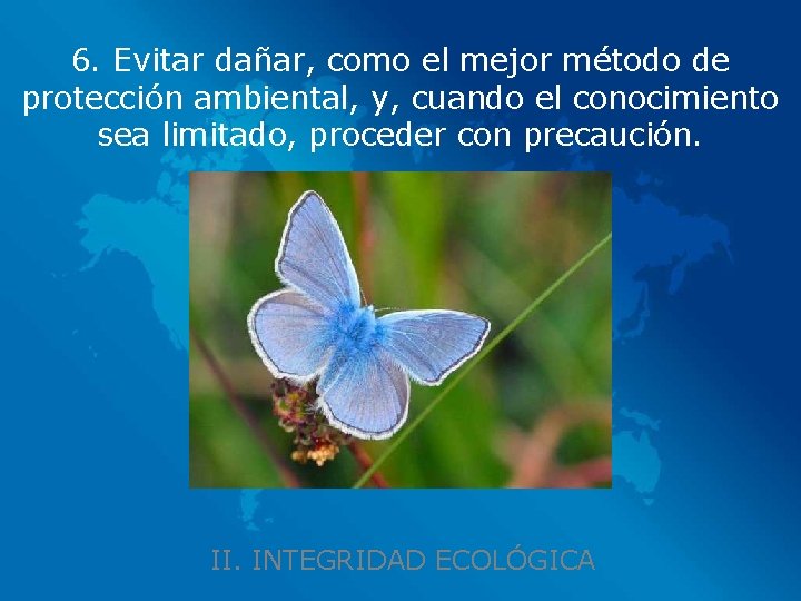 6. Evitar dañar, como el mejor método de protección ambiental, y, cuando el conocimiento