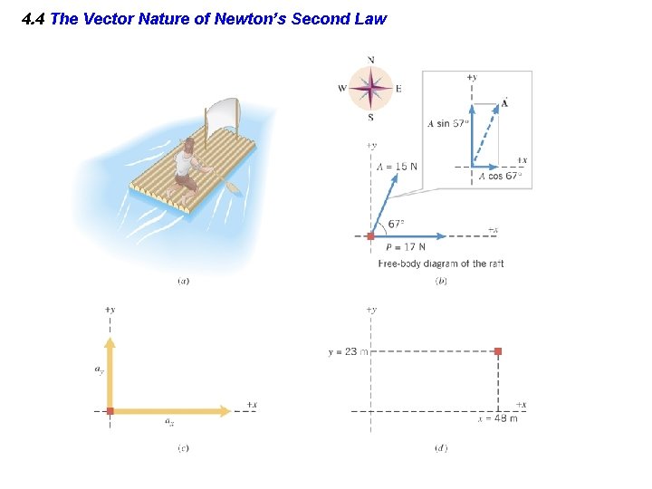 4. 4 The Vector Nature of Newton’s Second Law 