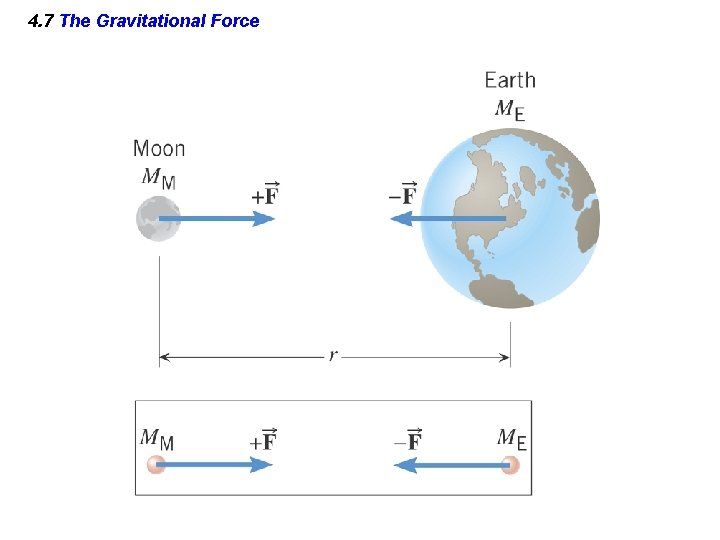 4. 7 The Gravitational Force 