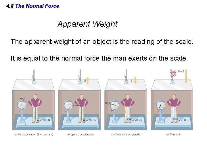 4. 8 The Normal Force Apparent Weight The apparent weight of an object is